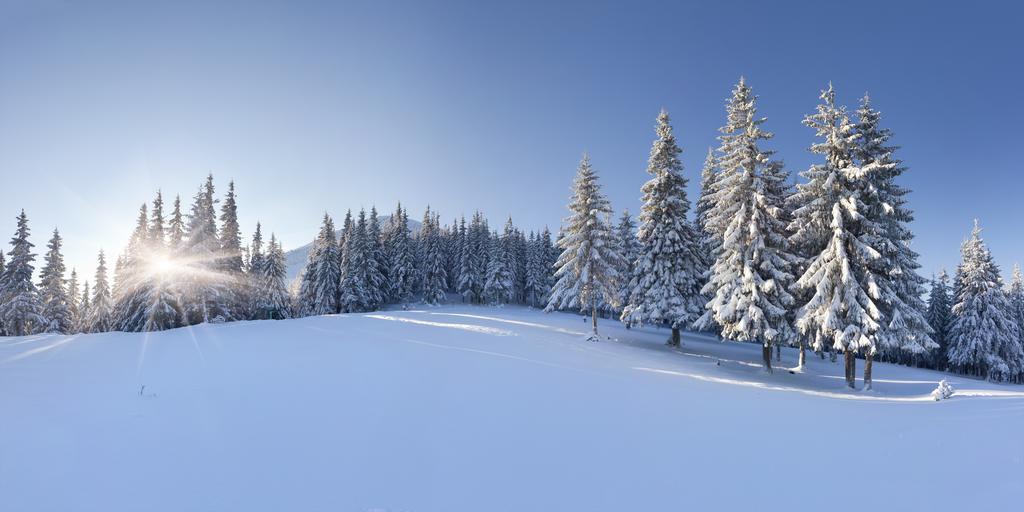 Hotel Club Le Risoux Bois-dʼAmont Екстериор снимка